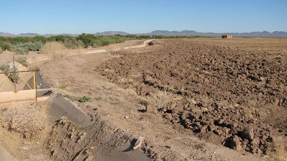 A freshly tilled field in the Palo Verde Irrigation District